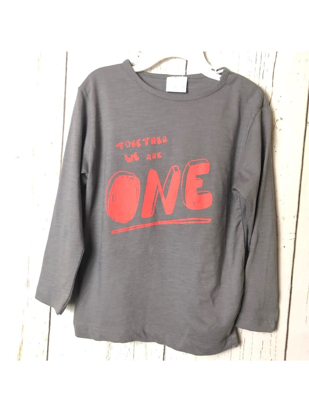 Zara Baby Long Sleeve Graphic Tee Sz 3-4